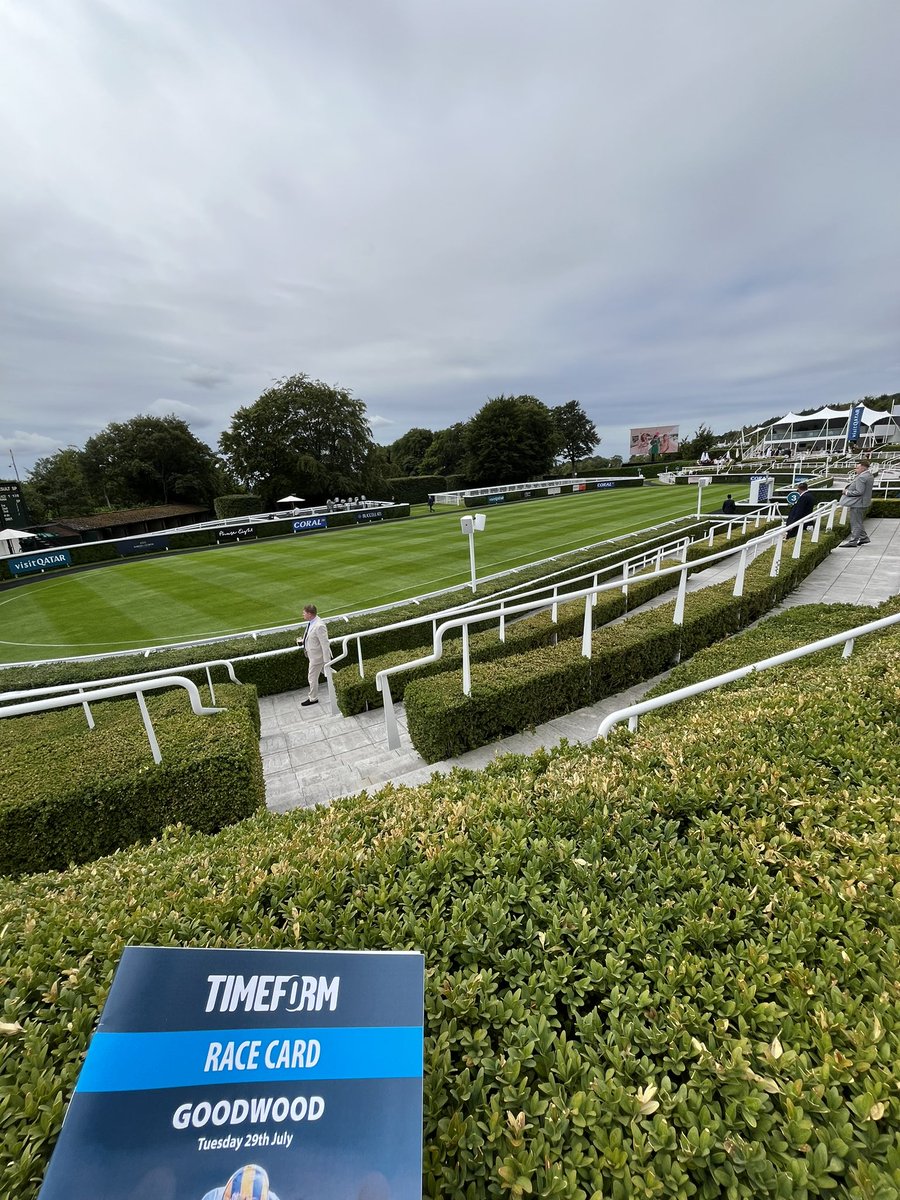 sambaggott251's tweet image. Glorious Goodwood is a first for me today, this place is beautiful