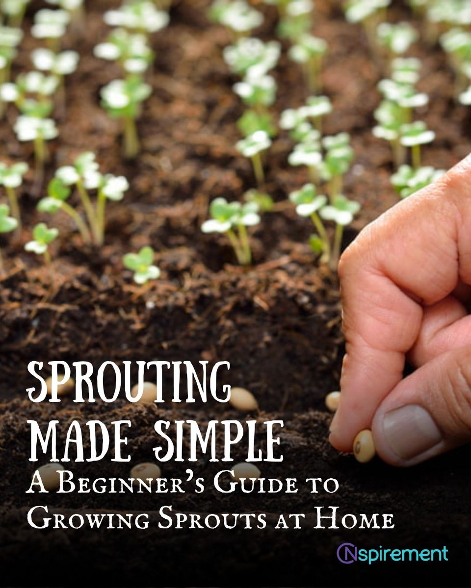 nspirement's tweet image. Get your tiny seeds, water, and bowl, and in less than a week, you’ll have fresh sprouts to add more nutrients, flavor, and crunch to your meals. #Sprouting #Sprouts #Homegrown #Health #DIY
nspirement.com/2025/07/27/beg…