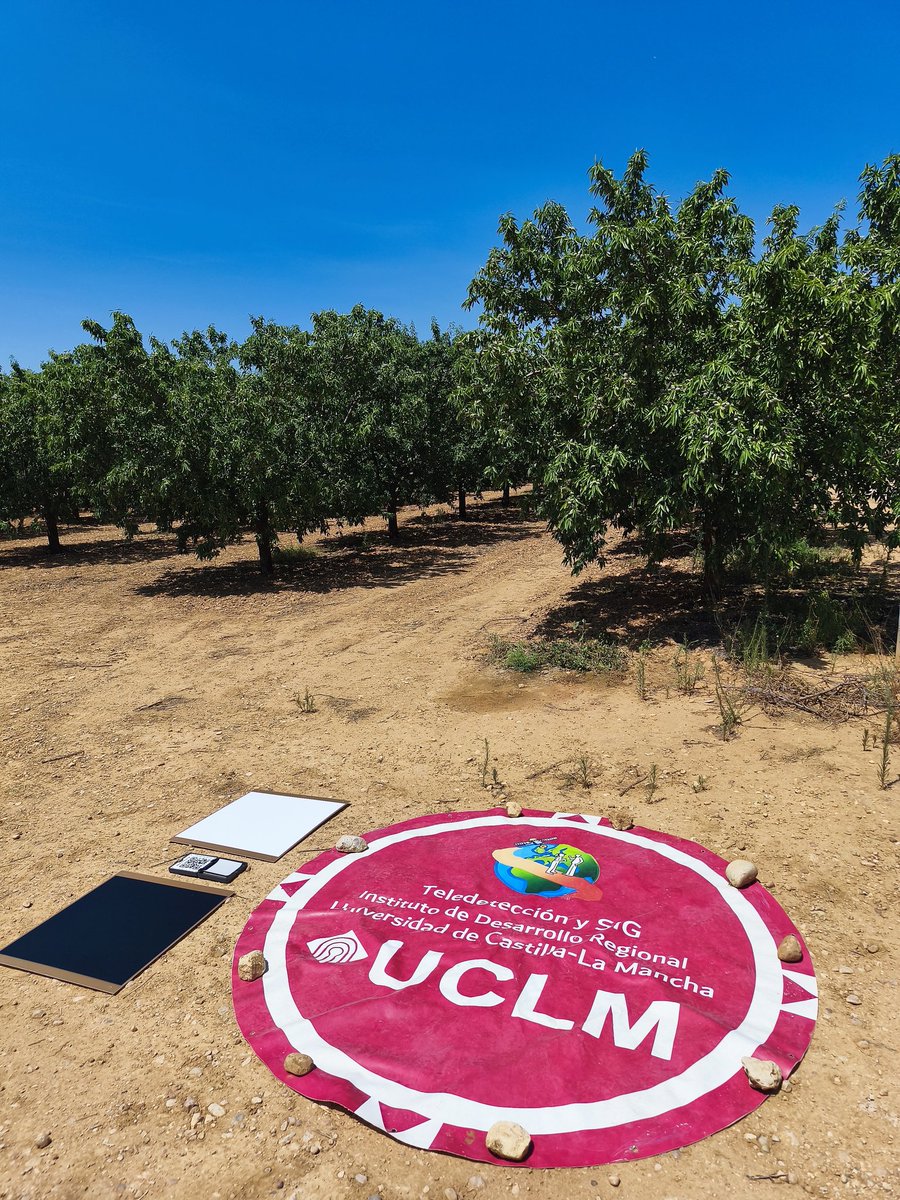 Disfrutando de otro "golden day" ☀️🛰️ de medidas en nuestro living lab dentro de la última campaña experimental #PISATEL y #WATERSNUTS. <a href="/TySIG_UCLM/">TySIG_UCLM_Albacete</a> <a href="/itapdipualba/">Instituto Técnico Agronómico Provincial,S.A.U.</a> <a href="/idr_uclm/">IDR UCLM</a>