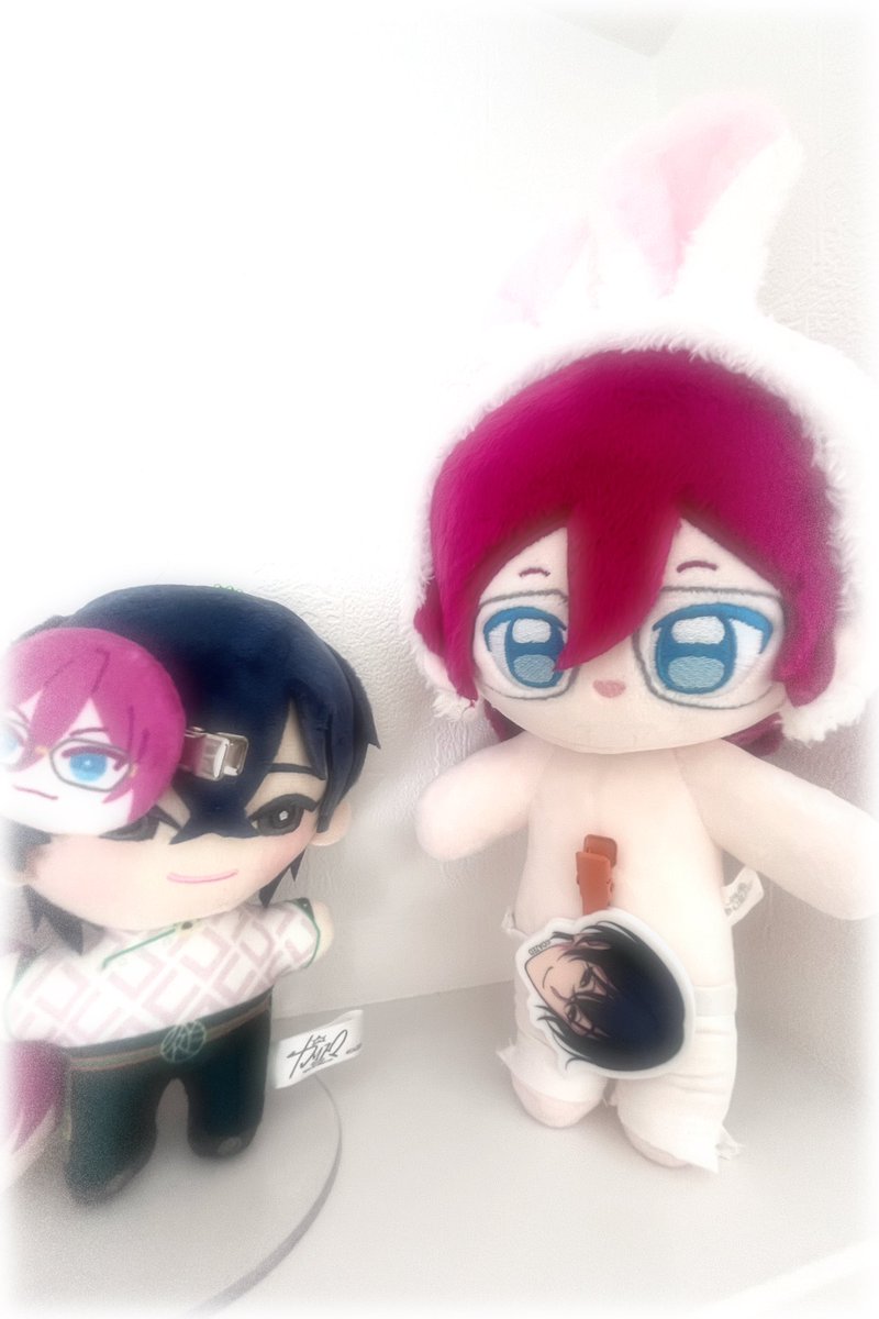いば「突撃❗️侵略❗️制覇❗️」
いお「滅私❗️貢献❗️奉仕❗️」

#萌萌ぬいが見られるタグ #ぬい活