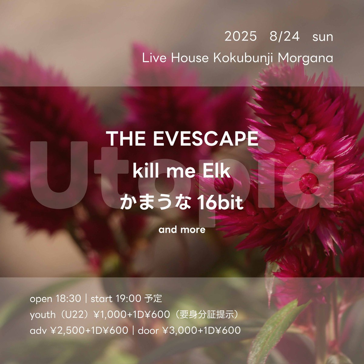 morgana_info's tweet image. 25/8/24(日)
"Utopia"
出演
・THE EVESCAPE
・kill me Elk
・かまうな16bit
他
開場/開演 18:30/19:00予定
前売/当日 ¥2500/¥3000 +1D¥600
チケット取り置きフォーム
bit.ly/3O5YUiC
#国分寺Morgana #国分寺モルガーナ