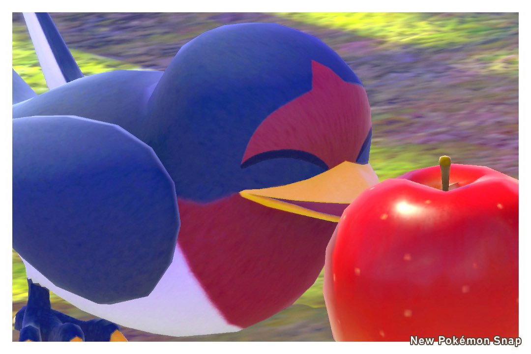 ぎもポケスナ展

「スバメ」