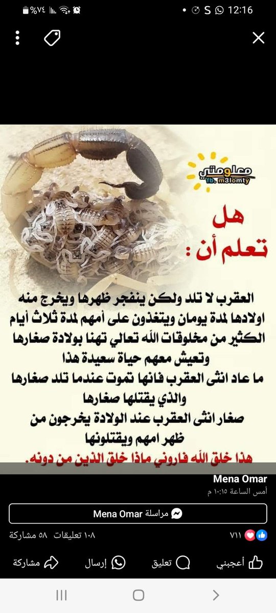 AlslfihA's tweet photo. https://t.co/rFs4QXCdl6
