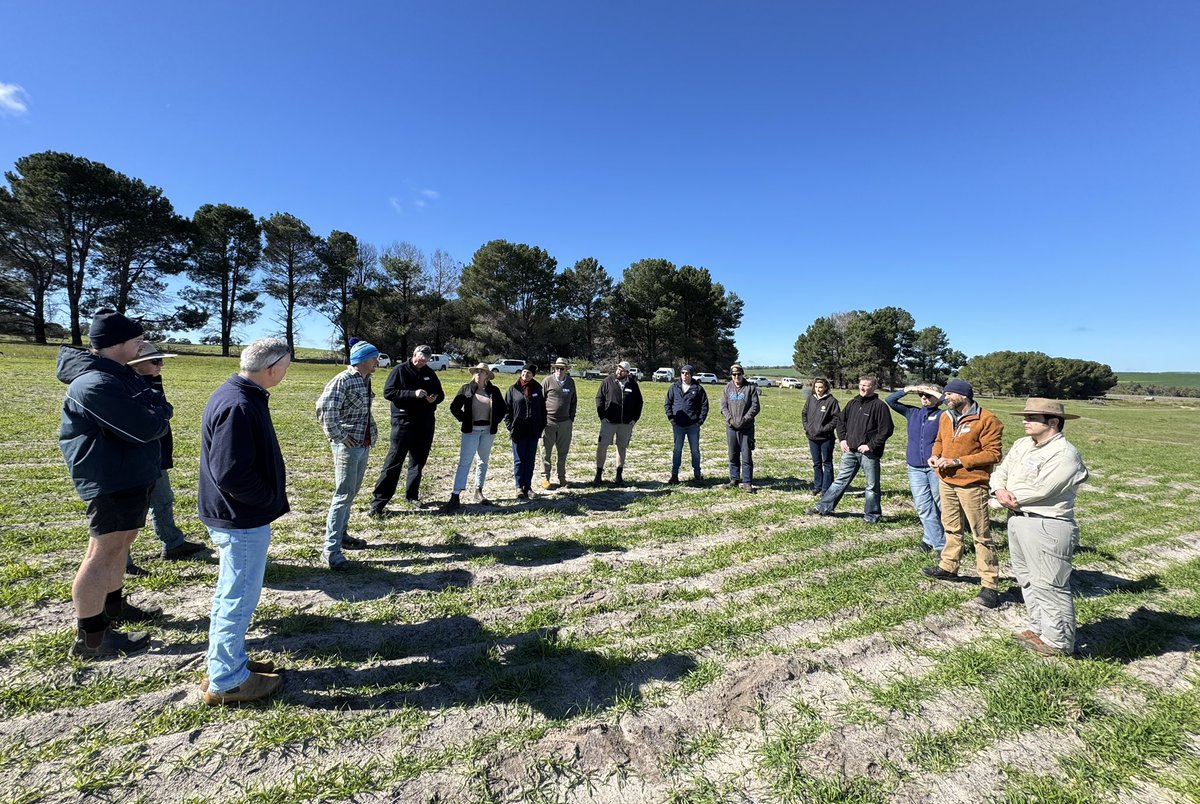 Dr Gaus Azam (@azam_gaus) on Twitter photo Guess who? <a href="/overheu/">TimO Soil Science Au</a> and his ARMA team from DPIRD along with <a href="/WMG_WA/">West Midlands Group</a> were at our soil reengineering trial <a href="/Toddkenny1999/">Todd Kenny</a>, Badgingarra supported by <a href="/DPIRDbroadacre/">DPIRD Broadacre - WA Grains & Livestock</a> and <a href="/GRDCWest/">GRDC West</a>. I am thankful for every opportunity to share and learn from others๐๐ฟ๐๐ฟ๐๐ฟ๐๐ฟ๐๐ฟ#SWANP1A #SOILREENGINEERING Guess who? <a href="/overheu/">TimO Soil Science Au</a> and his ARMA team from DPIRD along with <a href="/WMG_WA/">West Midlands Group</a> were at our soil reengineering trial <a href="/Toddkenny1999/">Todd Kenny</a>, Badgingarra supported by <a href="/DPIRDbroadacre/">DPIRD Broadacre - WA Grains & Livestock</a> and <a href="/GRDCWest/">GRDC West</a>. I am thankful for every opportunity to share and learn from others๐๐ฟ๐๐ฟ๐๐ฟ๐๐ฟ๐๐ฟ#SWANP1A #SOILREENGINEERING