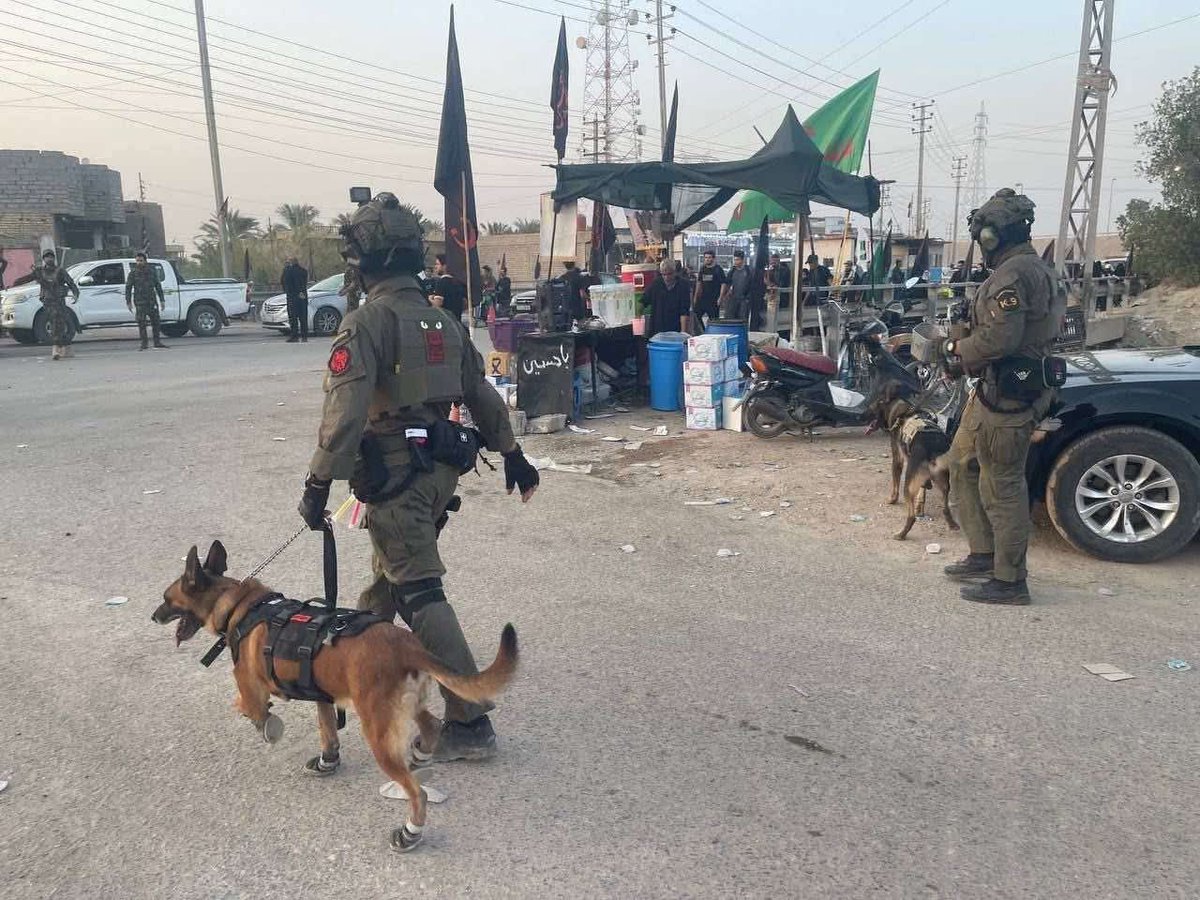 أجمل ما في المشهد أن البعض مشغول بالنباح على الحشد،
بينما الحشد لا يلتفت إليهم، لأنه منشغل بما هو أعظم.
فرقة الـ K9 التابعة لهيئة الحشد الشعبي تواصل مهامها في قضاء القرنة لتامين الزيارة الاربعينية.