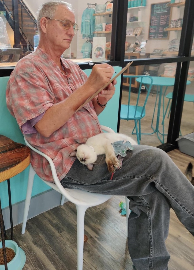 Someone at the Purrfect Day Cat Cafe in Louisville, KY filling out the paperwork to take this kitty home