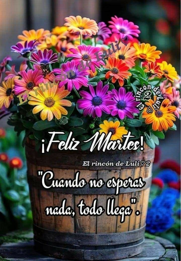 BUENOS DIAS!!
UN MARAVILLOSO MARTES LES DESEO A TODOS MIS QUERIDOS AMIG@S DE X. QUE EL TODOPODEROSO LOS BENDIGA Y PROTEJA SIEMPRE.🙏☕🍀