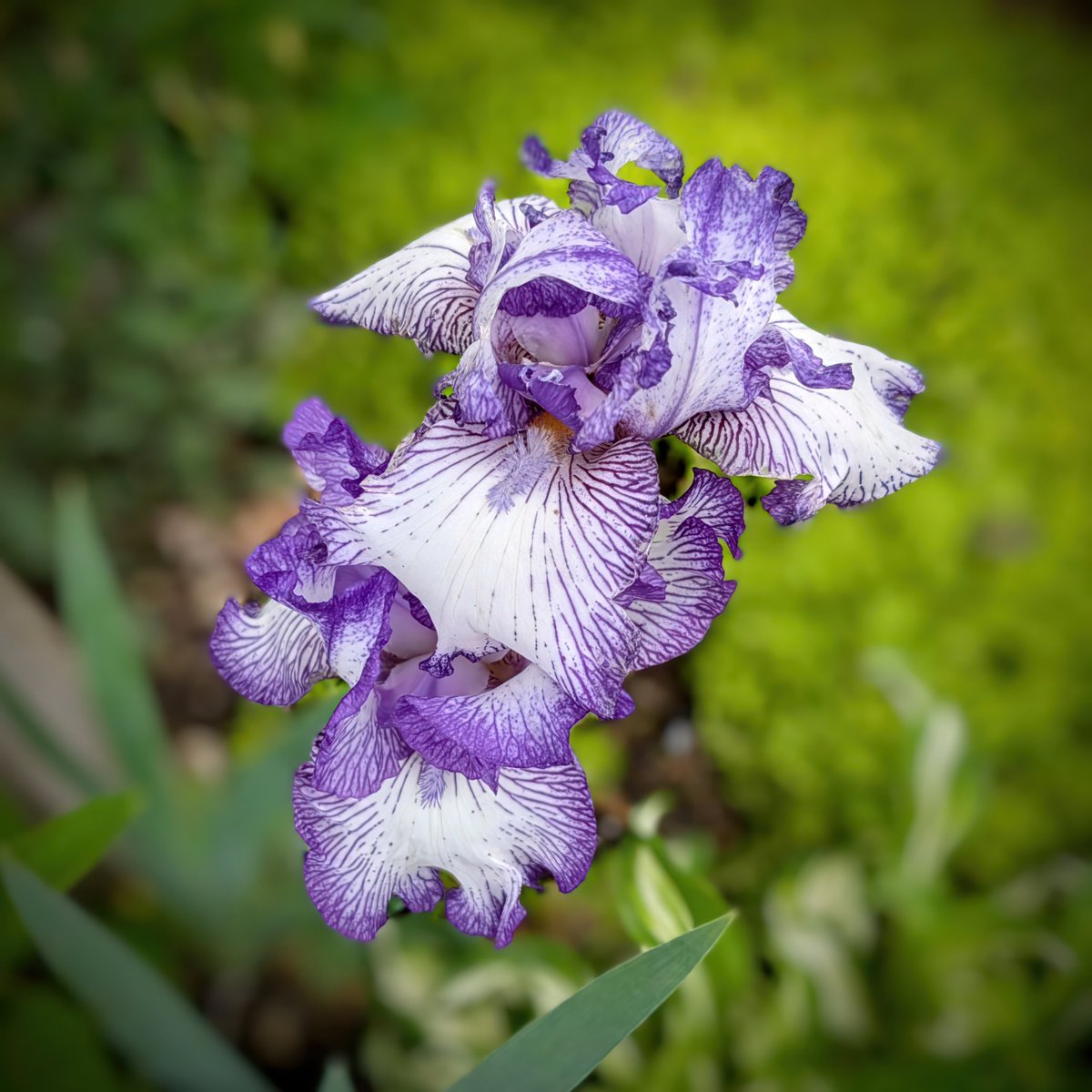 akaFoley's tweet image. Beauty IS everywhere!
#tuesdaytruth
