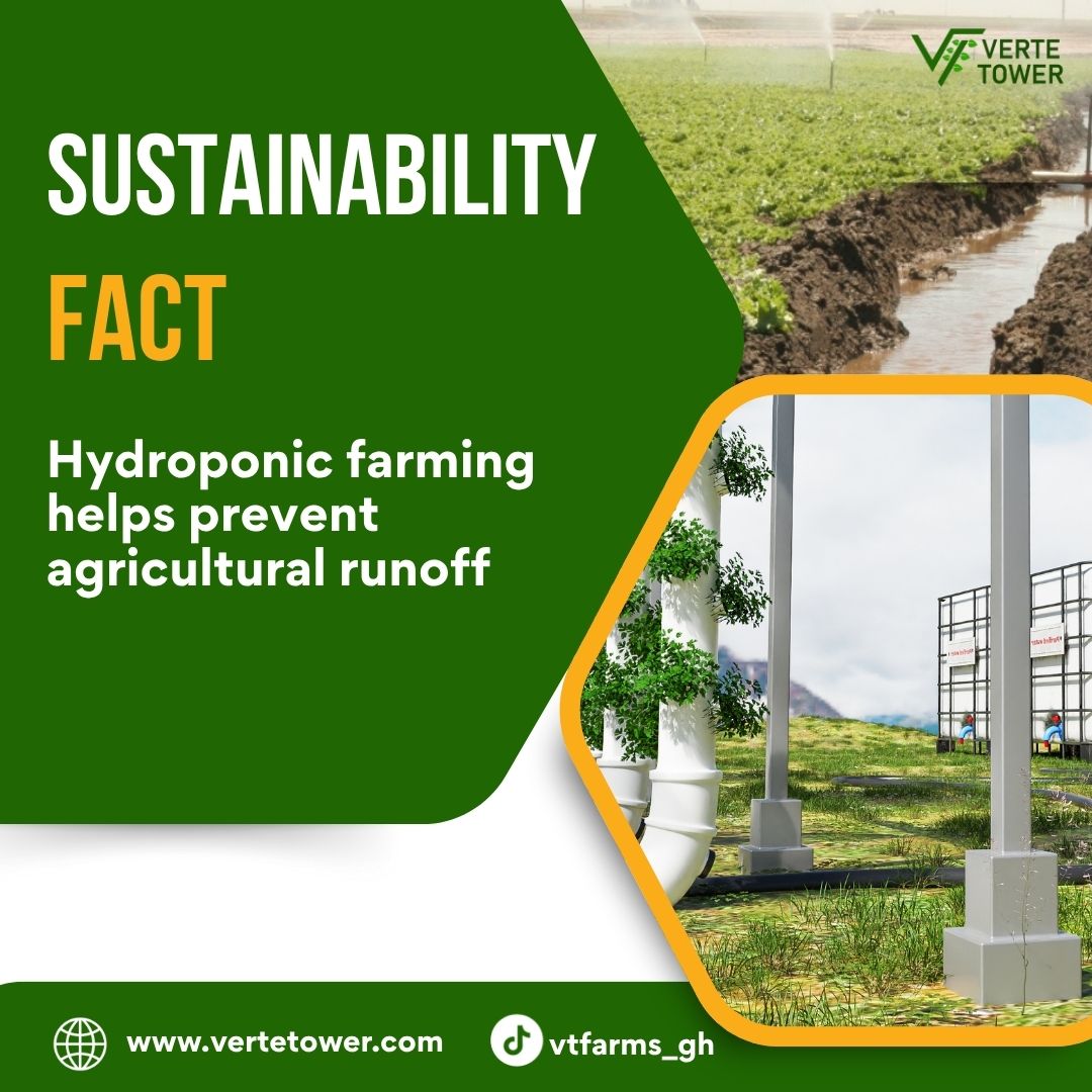 vtfarms_gh's tweet photo. Traditional farming often leads to water pollution through chemical runoff. With hydroponics, plants grow in a clean, closed system — protecting our rivers, lakes, and oceans
#Hydroponics #SustainableFarming #VerteTower #FutureOfFarming https://t.co/8RKSW0Un0C