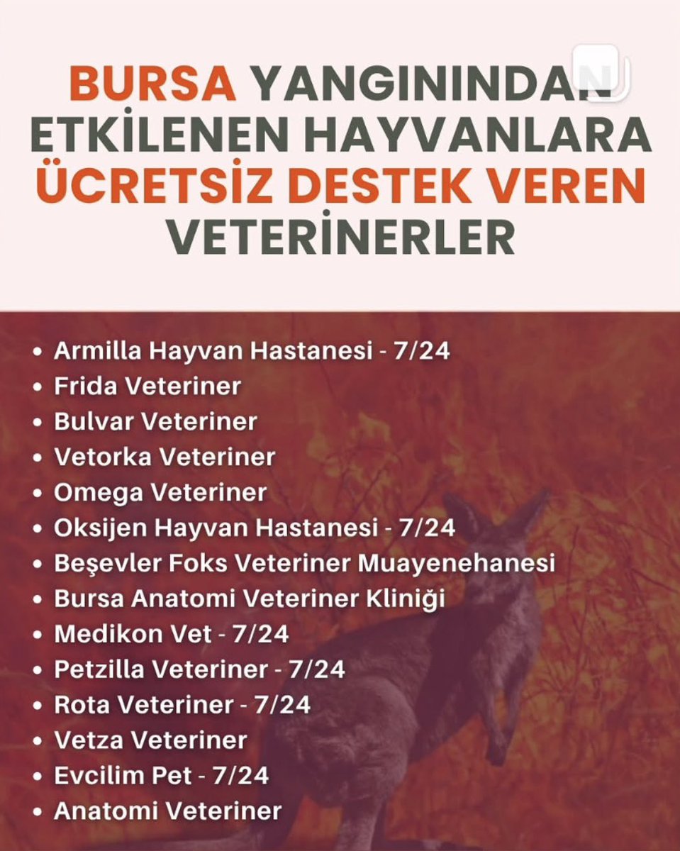 Bursa yangınından etkilenen hayvanlara ücretsiz destek veren veterinerler.
(Listeye eklenenleri yorumlara yazabilirsiniz.)