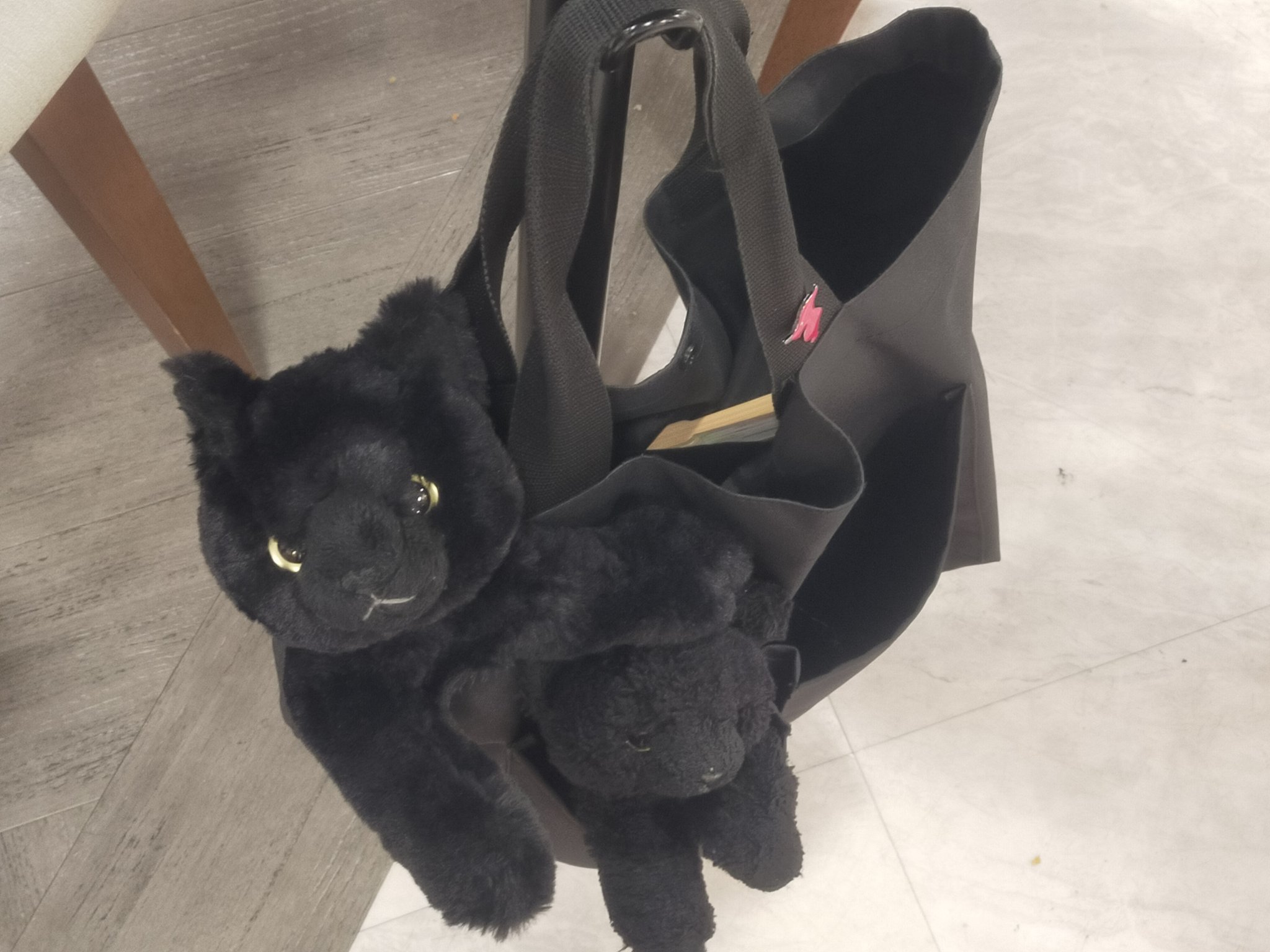 ⭐︎みゆう⭐︎のびねこ他⑤ ぐらねこ🦈🔱@社畜猫 on X: 