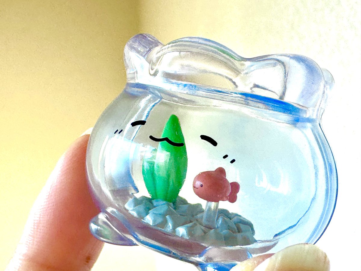 わるるぎさんの金魚鉢ちゃんやっと見つけた‼︎ めっちゃかわいい