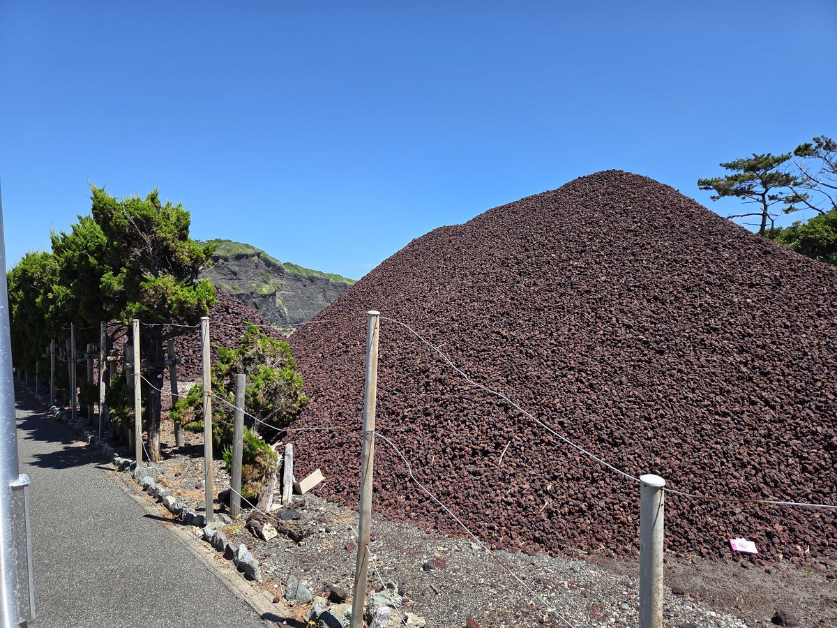 大島の海の幸を満喫しまくったな😊✨️✨️

東京から2時間弱
大自然に溢れる中々魅力的な島だったな☝️