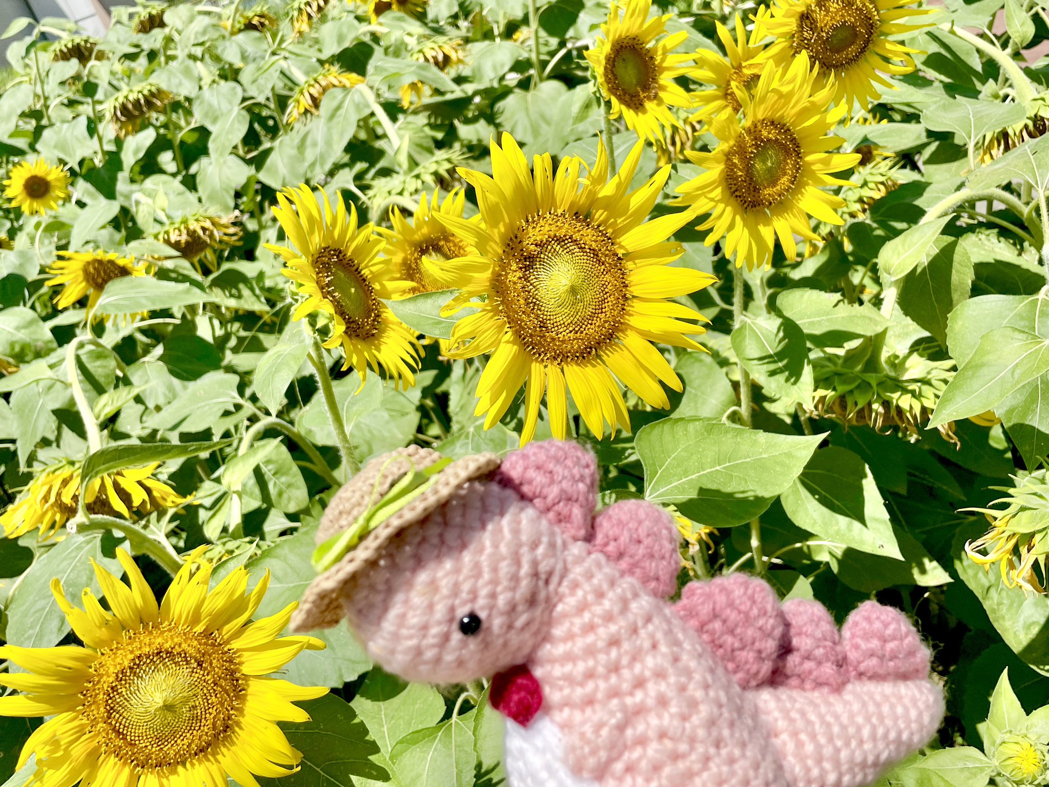 ひまわり❤ ひなたすみこ🌼8/16小さなおもちゃ屋さん on X: 