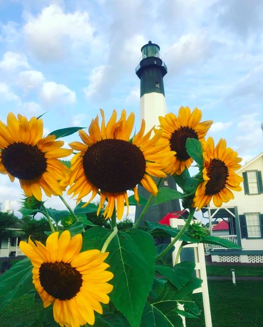 Good Tuesday Morning 07/29/2025! Our View This Tuesday Mostly Sunny Hot &amp; Humid Pop Up Showers Possible In The Afternoon Temps In The 90's Low 70's Overnight! A Great Musical Journey Awaits You On 
#StarflightRadioTheMix #Radio 

starflightradio.com

bluford.torontocast.com:2199/start/mmkywvdq