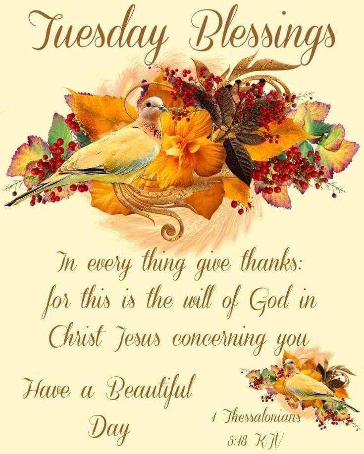 Miguel M. Jackson (@godswordisfree) on Twitter photo 