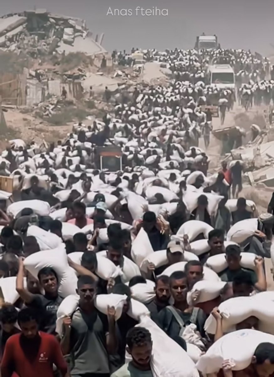 If you’re scrolling, PLEASE leave a dot.

STARVATION.