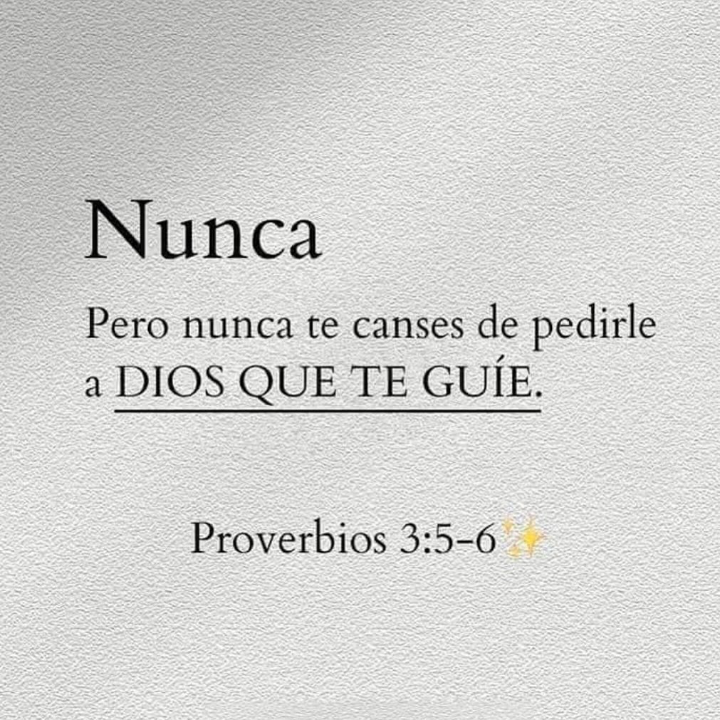 Buenos Días Feliz y Bendecido Martes ✨️ 💫