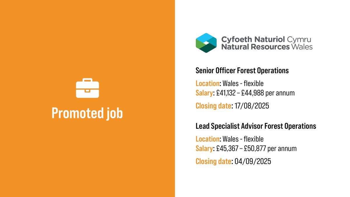 Institute of Chartered Foresters (@theicf) on Twitter photo Two #forestryjob opportunities with <a href="/NatResWales/">Cyfoeth Naturiol Cymru | Natural Resources Wales</a> 👇
Senior Officer Forest Operations - more info: charteredforesters.org/job-vacancy/se…
Lead Specialist Advisor Forest Operations - more info: charteredforesters.org/job-vacancy/le… Two #forestryjob opportunities with <a href="/NatResWales/">Cyfoeth Naturiol Cymru | Natural Resources Wales</a> 👇
Senior Officer Forest Operations - more info: charteredforesters.org/job-vacancy/se…
Lead Specialist Advisor Forest Operations - more info: charteredforesters.org/job-vacancy/le…