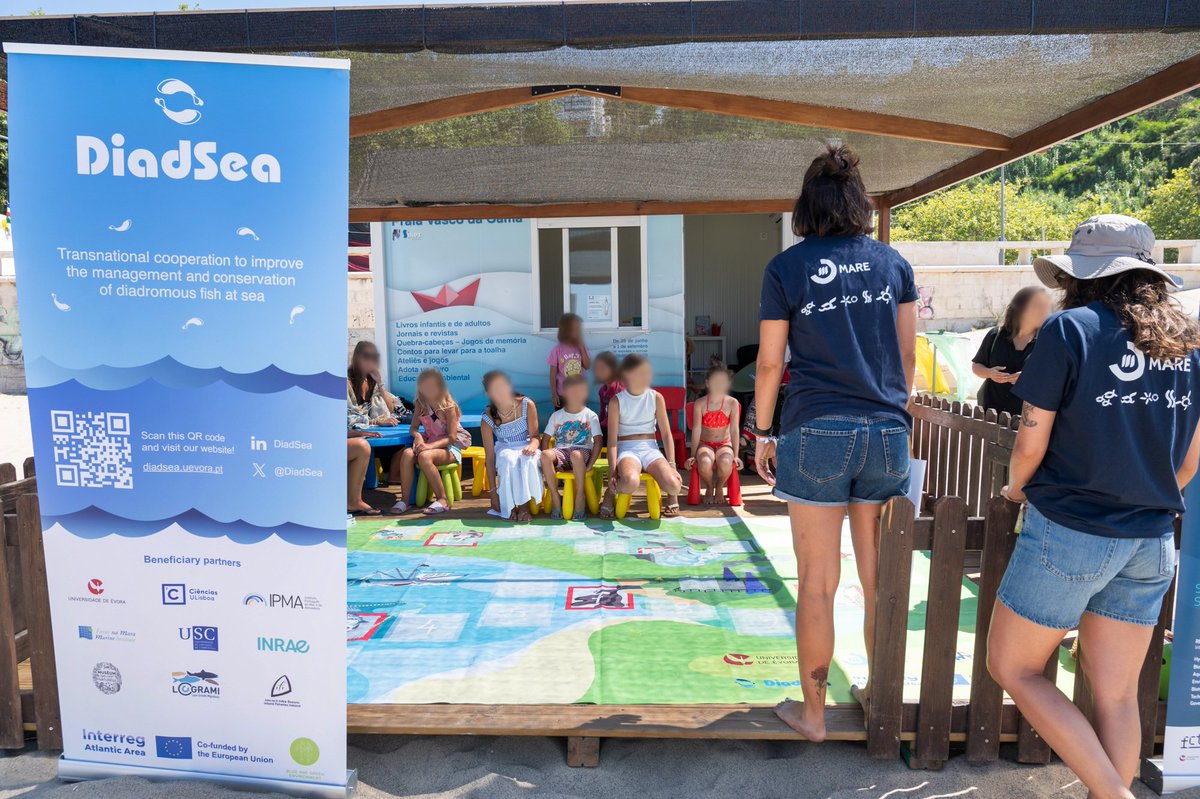 DiadSea's tweet image. 📍Last week, we had the chance to play the #DiadSea educational game &apos;The Journey of #MigratoryFish&apos; with children attending the @fmmsines festival in Portugal. Thank you @MAREscience and @univdeevora for organising this! 
Funded by @AtlanticArea | #fmmsines #marinebiodiversity