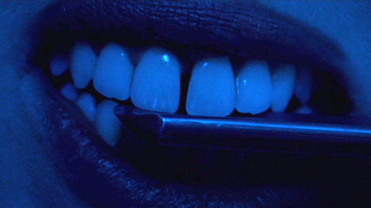 Amer, 2009.
-
Dir. Hélène Cattet, Bruno Forzani