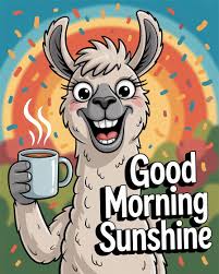 Good morning ☕️