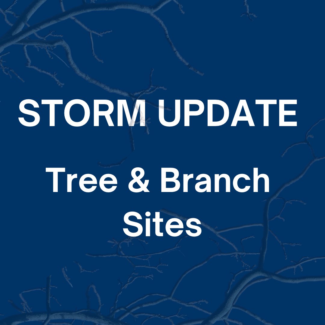 TREE COLLECTION SITES
Tree branches and fallen trees from Monday’s storm may be brought to these locations:
- Parking lot at Heritage Village (701 2nd Ave. SW)
- Gravel area behind Tower Fields (at the end of 5th St SW)
- Parking lot east of SC Middle School/west of the baseball