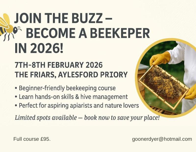 mid_bee's tweet image. 