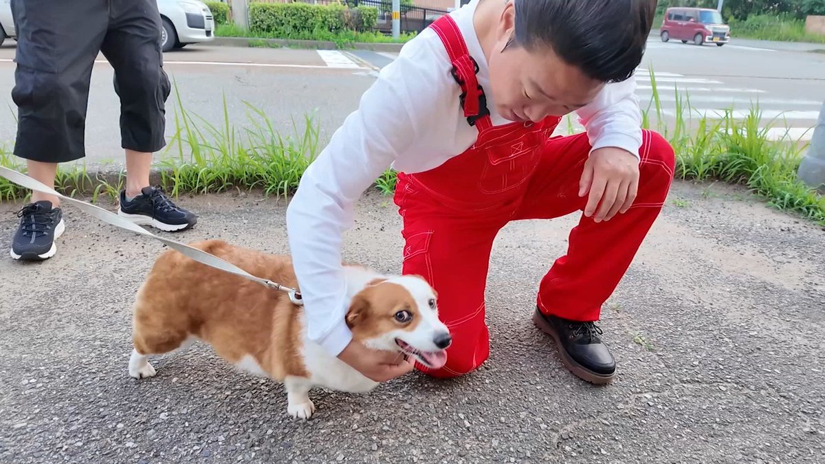 z_kocho's tweet image. 明日7/30の #絶好調W は…！

▼みやぞんの能登のハテナでin内灘
わんダフルな王国⁉︎内灘へ
町を歩くとお散歩中のワンちゃんに次々と遭遇🐶

▼鈴木大河の推しタイガー

▼前田慶次郎のがんこうまい中継

#みやぞん #馬場ももこ #前田慶次郎
#鈴木大河 #IMP. #エイトMAN #松井祐香里