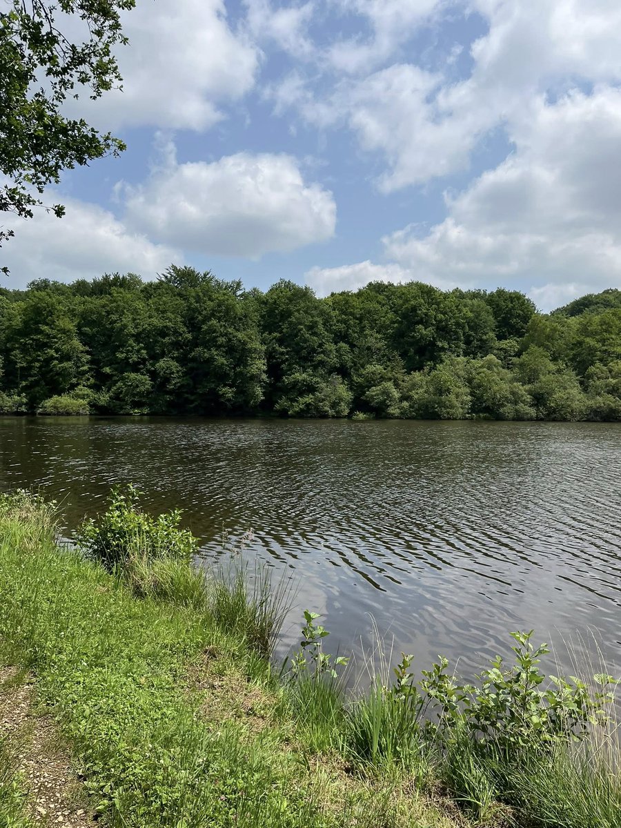 Chacun fait ce qui est bon pour lui. Certains vont faire une sieste, d’autres se repose dans le jardin et d’autres, comme moi aujourd’hui, vont marcher dans la nature.
Notre région est riche et la nature est vraiment belle
Bel aprés midi 😘