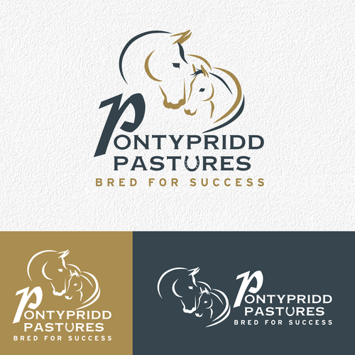 MstShimpy's tweet image. Modern animal dog pet care veterinary logo
fiverr.com/s/AyzjPya
Modern yet Professional Brand Identity for your Pet Dog logo, animal, veterinary, dog training, cat, kennel,
#petdaycare, #pethealthcare, #petscare, #petdentalcare, #pethomecare #petskincare, #carepet