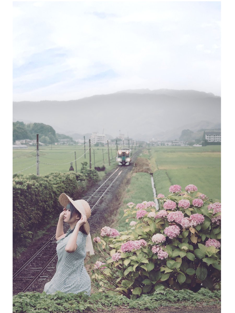 おはようございます。これは愛媛まで紫陽花撮りに行った時の写真ですが、二日間ずっと小雨降っていました。紫陽花だからどうにかなった。今日からまた遠征行ってきますが、雲や光に恵まれますよう。ロケ撮は祈るしかありません。良い水曜日を。莉樺さん　<a href="/dc95rk/">⭐️莉樺🌙</a>