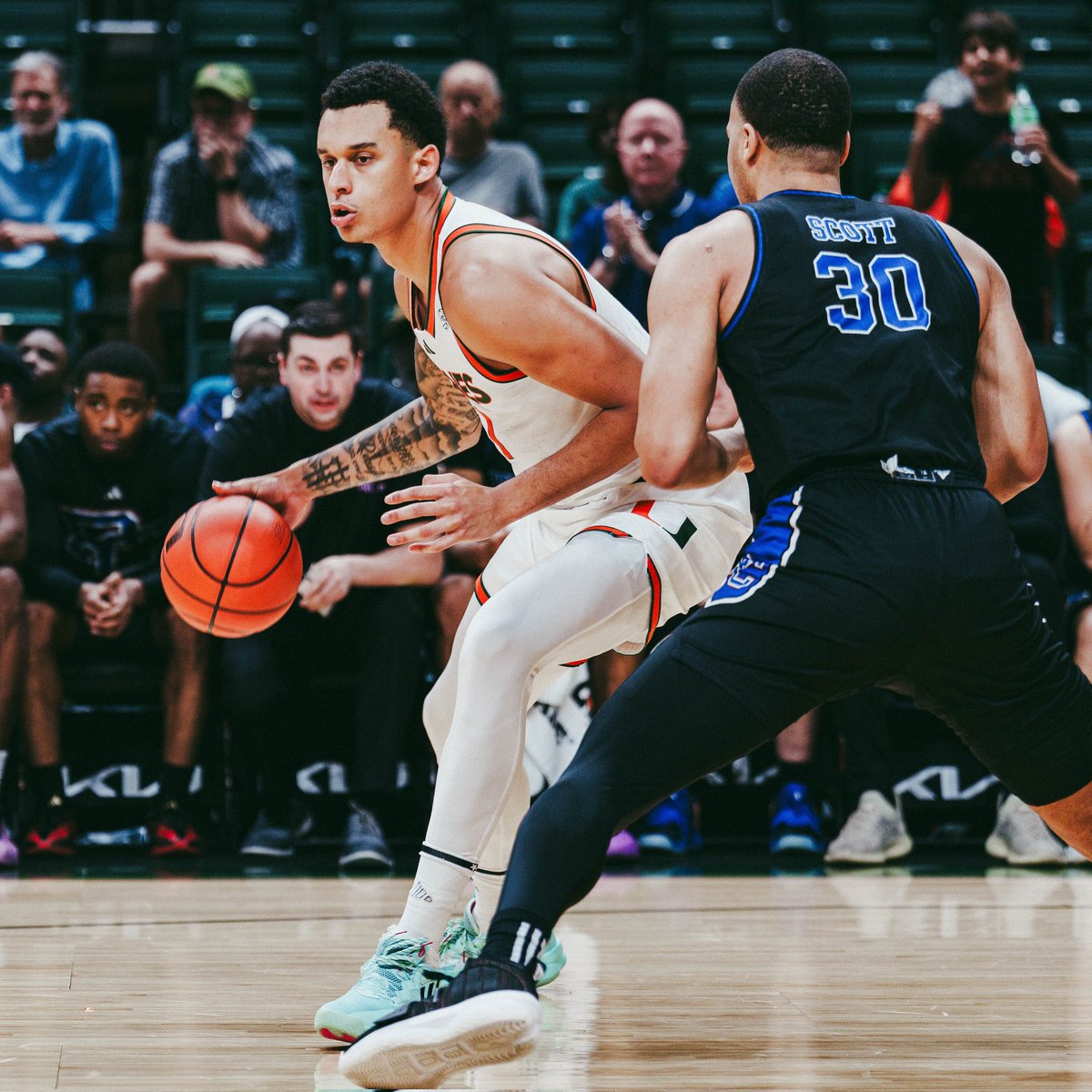 Can Peker Pekcan tweet media