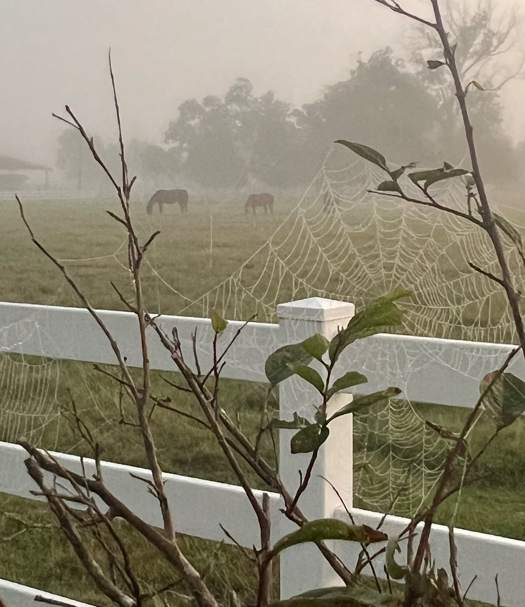 Daniel (@kotw71) on Twitter photo Happy Tuesday! Happy Tuesday!