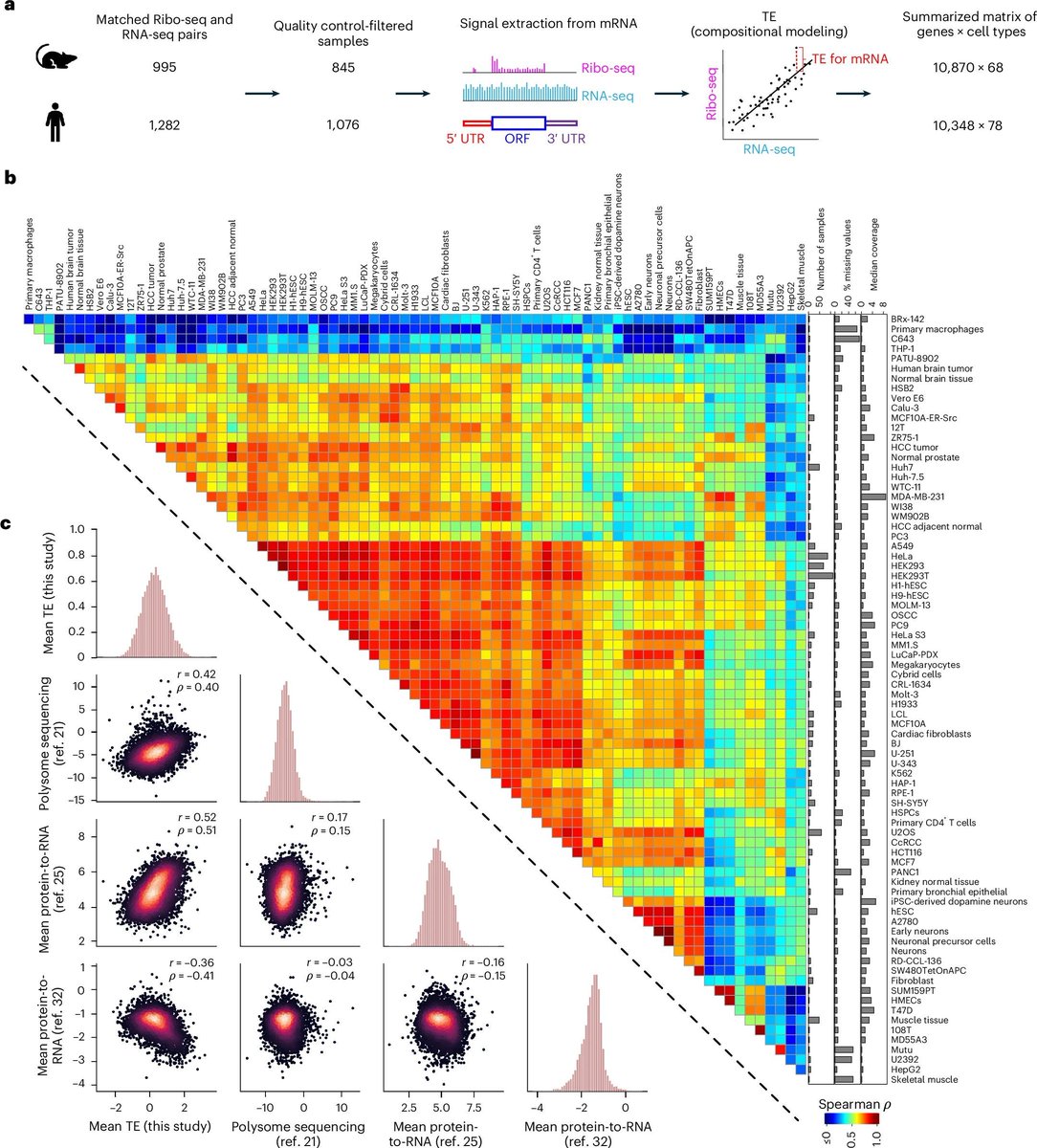 Javier Santoyo (@jsantoyo) on Twitter photo Predicting the translation efficiency of messenger RNA in mammalian cells. #TranslationEfficiency #TranslationalControl <a href="/NatureBiotech/">Nature Biotechnology</a>
nature.com/articles/s4158… Predicting the translation efficiency of messenger RNA in mammalian cells. #TranslationEfficiency #TranslationalControl <a href="/NatureBiotech/">Nature Biotechnology</a>
nature.com/articles/s4158…