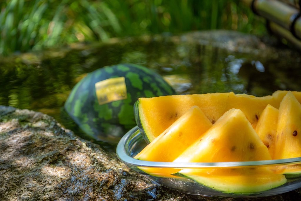 narafarm0373's tweet photo. お陰様で今年のスイカ全て完売しました🐾‼️‼️🍉

また。来年👋 https://t.co/UABiG4x9Cc