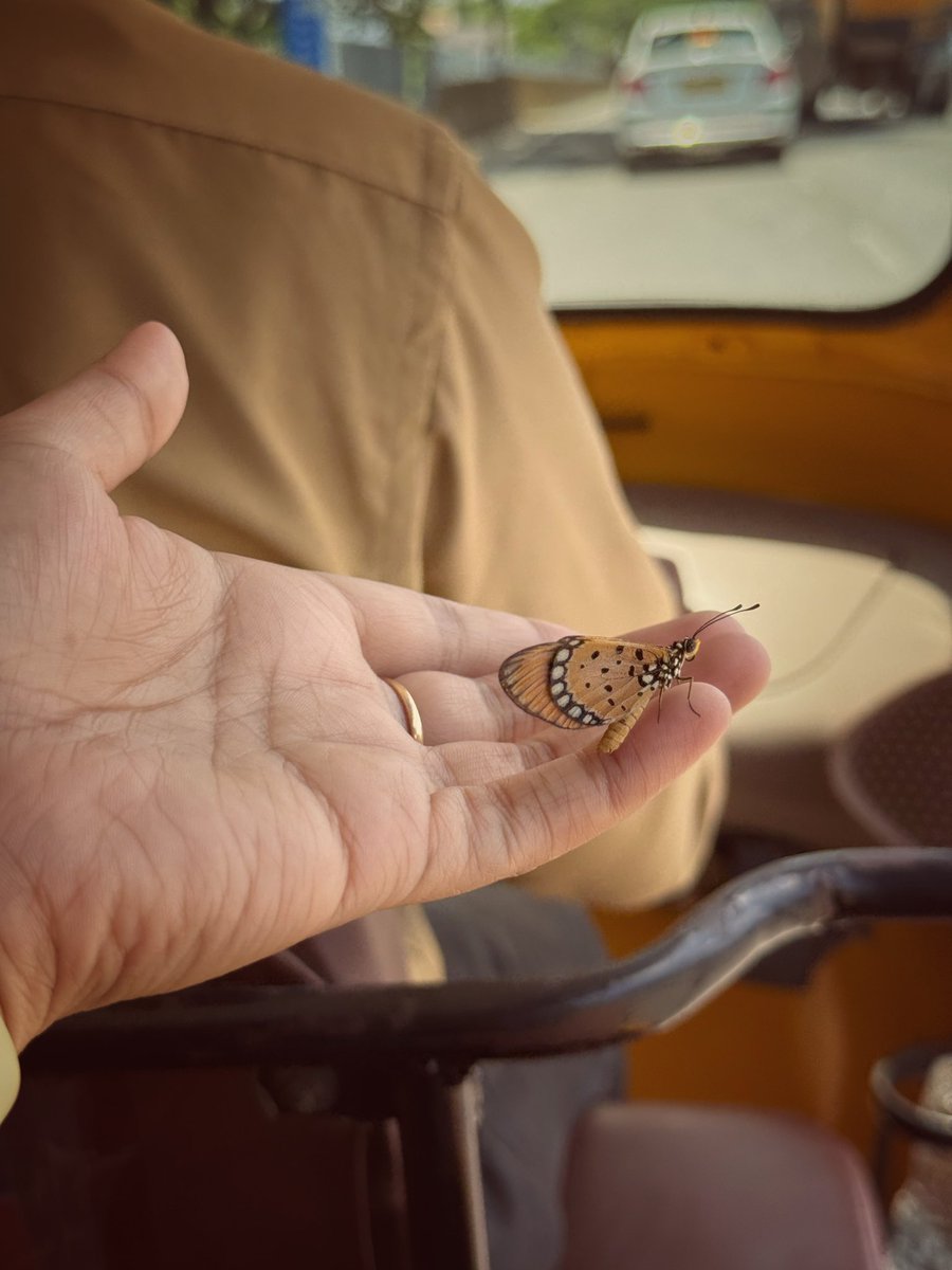 Sometimes, a butterfly on your hand and sunlight on your salwar is all the magic you need ❤️❤️❤️