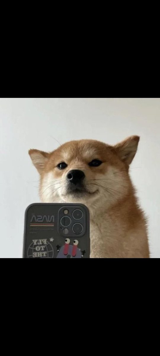 Think any of the $SELFIE gang are flinching at this mundane price movement ? 

Strategically positioned , we have patience .

The dawg with a phone , taking selfies - won’t stop 

All in $SELFIE -

Upside is phenomenal, and it will come . Wait for the capital . Strongest Cult