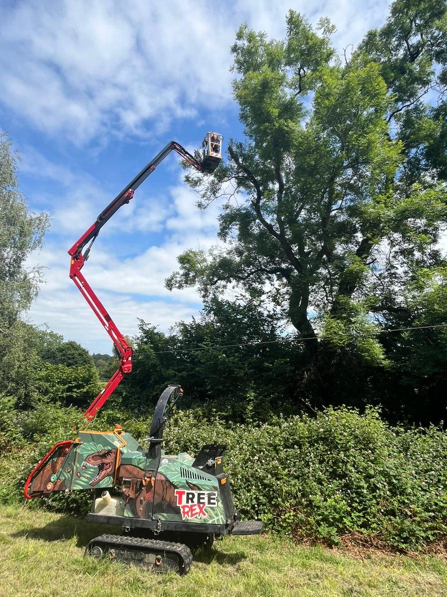 Time for a trim ? ✂️🌿

📲 02922 362389
📧 info@treerex.co.uk 

#TreeRex #Cardiff #TreeSurgeon