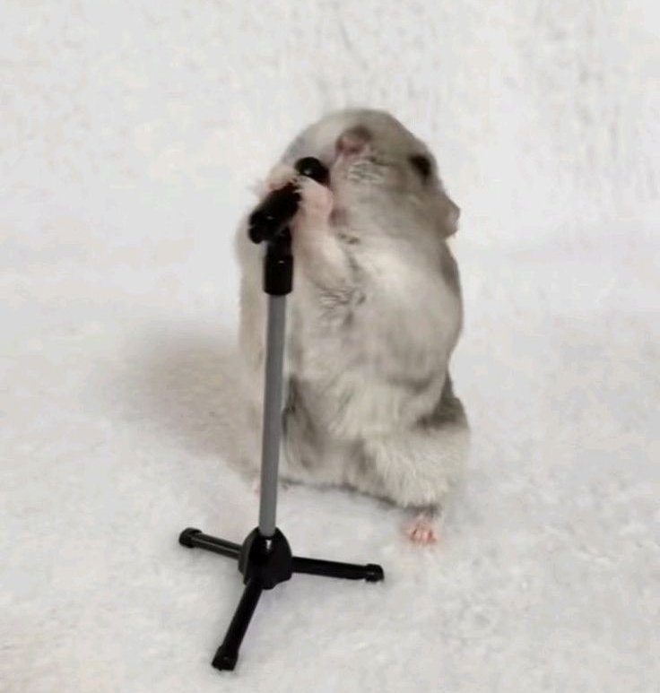 변한건~~~~없~~~~~니~~~~~ 내가 ~그토~~록~ 사~~~랑한 미소~~도 여전히 아~름~~답니~~~~~ 난 달라~~졌~~~~어~~~~~ 예전만큼 웃~~질~~~~ 않고~~~좀 야~~~~위였어~~~~ 널 만날~~~때~~보~~~~다~~~~~~워~~~~~그는 어~~~떠~~니~~~~~~ 우리 함께한 날~~~들~~잊을 만~~큼~너에게 잘해주니~~~~행복해~야~~돼~~~