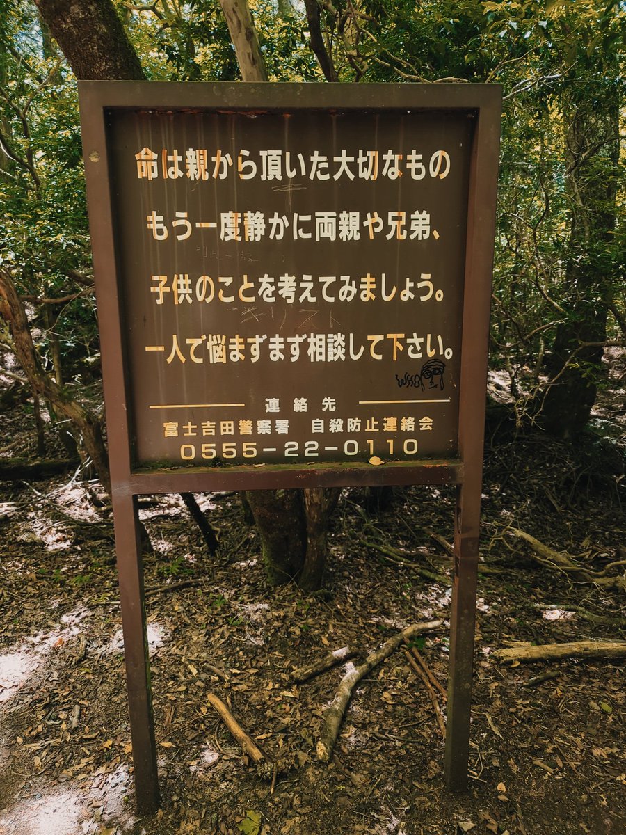富士樹海をトレッキング
怖いイメージがあるけど、こう言うの見るとやっぱり怖い😨
4時間のトレッキング中々歩き甲斐がありました✨️
#キャンプ好き女子 #メガネ女子 #登山好き女子
