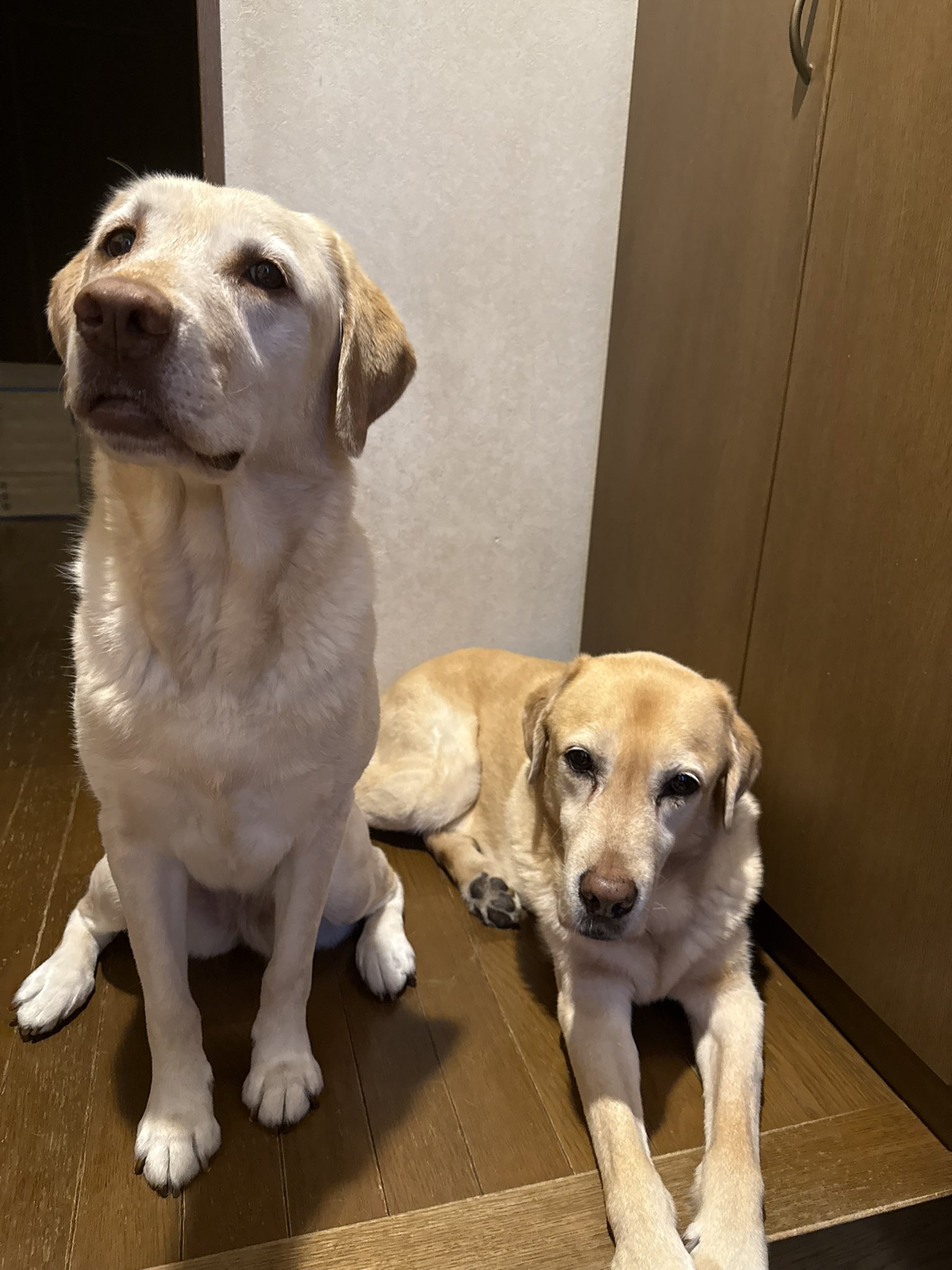 めるみー (@Miena_1_26) / X