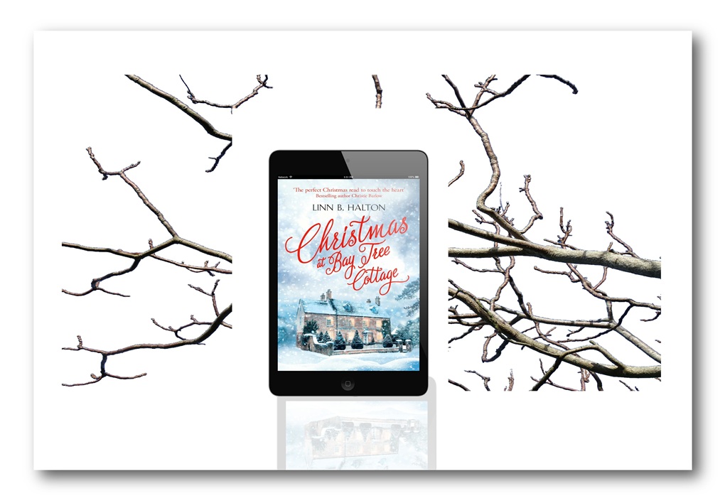 LinnBHalton's tweet image. π A winter's tale with a big heart and you can read chapter 1 here... linnbhalton.com/christmas-at-bβ¦