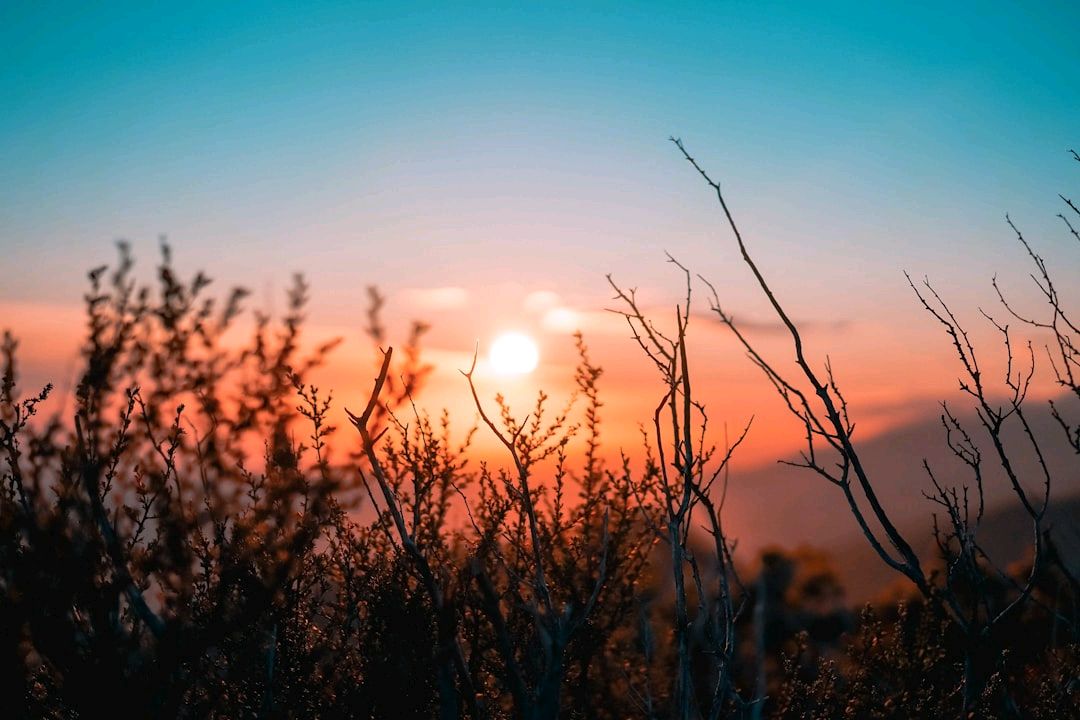 comuniongracia's tweet photo. 🙏 ¡Bendecido amanecer para todos! Hoy queremos recordarte que no importa cuán difícil sea el camino, Dios siempre está a tu lado. Unámonos en oración y fe, sabiendo que Su amor es nuestra fortaleza. 💪✨ #SomosCGI #FeInquebrantable #DiosSiempreContigo https://t.co/IcTEJnX3Z7