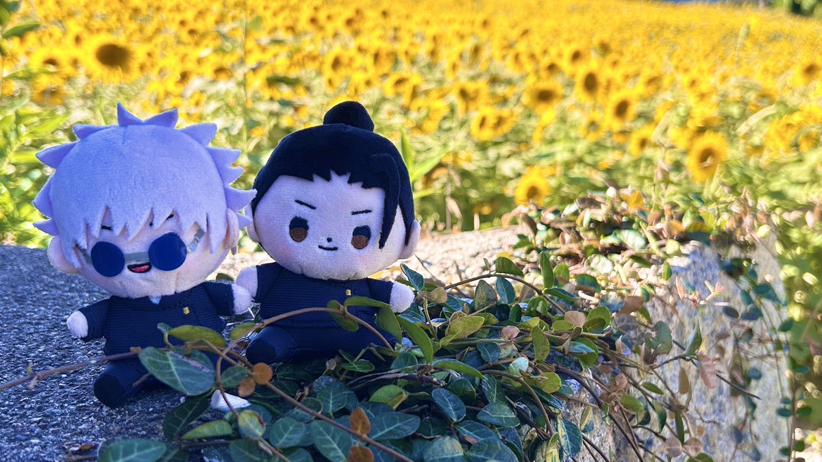 sirako888's tweet image. 🌻🌻🌻🌻🌻
(̨̡⸝⸝´꒳`⸝⸝)̧̢♡(̨̡⸝⸝´꒳`⸝⸝)̧̢
🌻🌻🌻🌻🌻