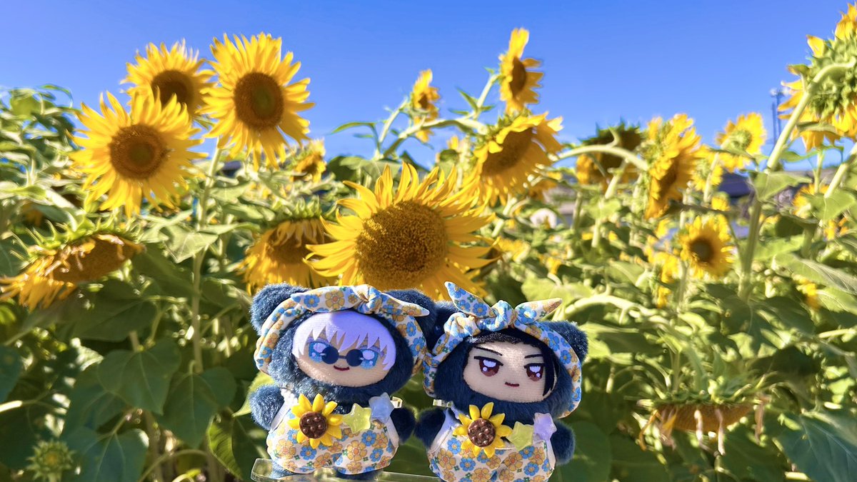 sirako888's tweet image. 🌻🌻🌻🌻🌻
(̨̡⸝⸝´꒳`⸝⸝)̧̢♡(̨̡⸝⸝´꒳`⸝⸝)̧̢
🌻🌻🌻🌻🌻