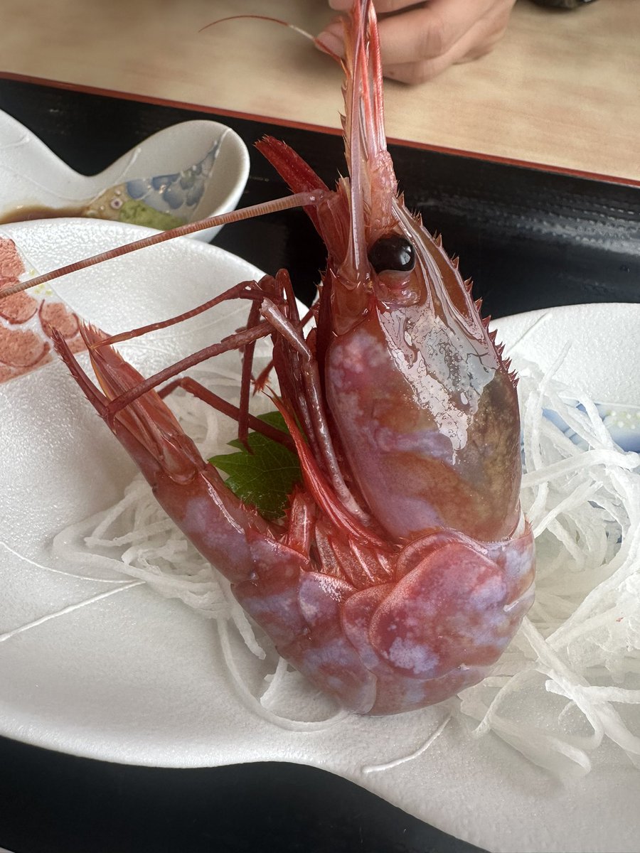 CD501094221's tweet photo. 知床羅臼
ブドウエビ食べたけど凄く美味しかったです
初めて野生のクマに遭遇しました！
親子クマ３頭が目の前の道路を横断してました！ https://t.co/no5Gqosgai