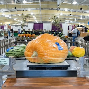 Oh my gourd! Word on the street is that almost every county in the state is hosting a fair this summer, but we’ll let you be the judge by checking out the full county fair schedule from K-State Extension. Click here! wkreda.com/about/wkreda-n…!