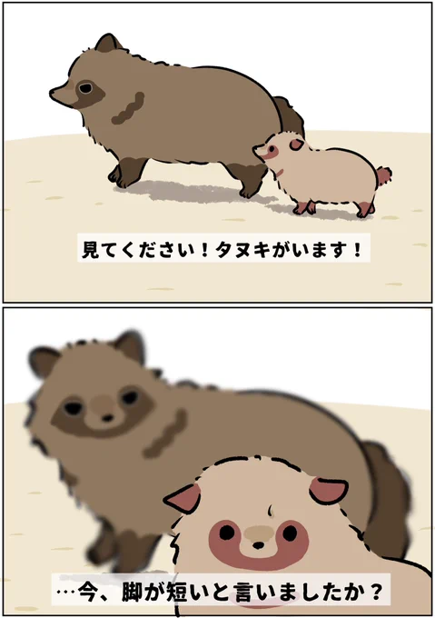 タヌキ兄弟

見て!タヌキの兄弟が歩いているよ!! 