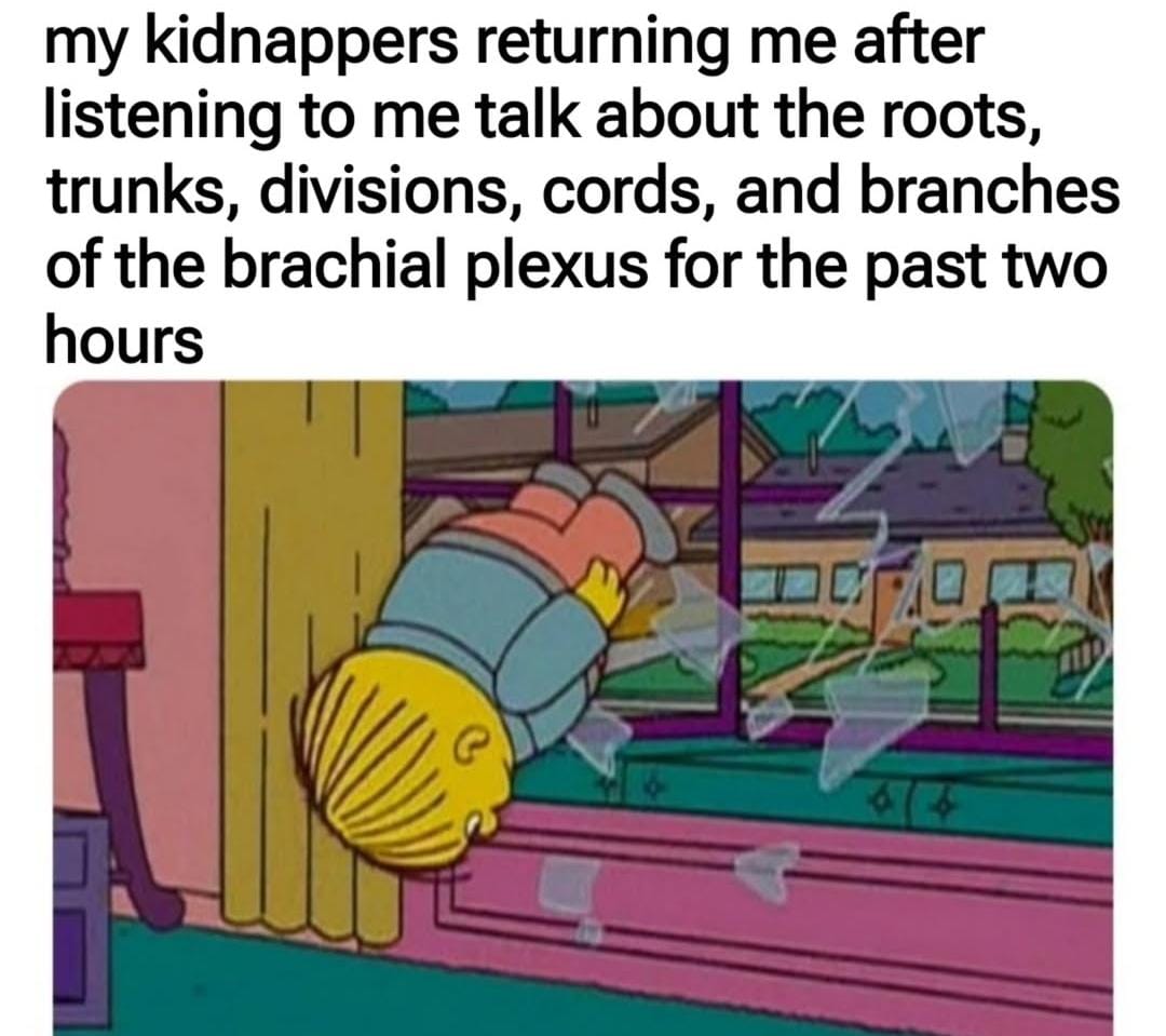 buyessaycouk's tweet image. When your lecture on the brachial plexus is so riveting, even the kidnappers can&apos;t handle it! 😂📚💔 #MedicalHumor #BrachialPlexus #KidnappingFails #TooMuchInfo #HelpMePlease